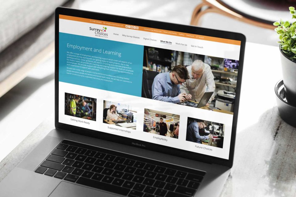 Surrey Choices - Web Design